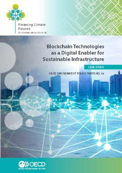 Case study Blockchain Technologies as a Digital Enabler for Sustainable Infrastructure